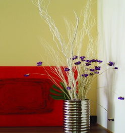 家世界家居用品 裝飾材料領(lǐng)域的企業(yè)動(dòng)態(tài)與品牌資訊